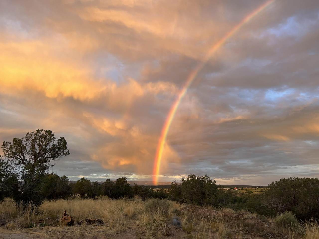 31184 Co-145 - Photo 1