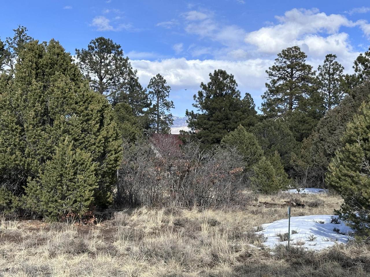 https://bt-photos.global.ssl.fastly.net/telluride/1280_boomver_2_43315-2.jpg