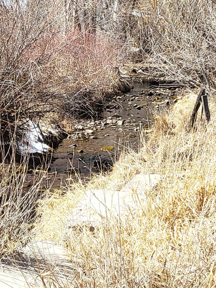 https://bt-photos.global.ssl.fastly.net/telluride/1280_boomver_2_43347-2.jpg