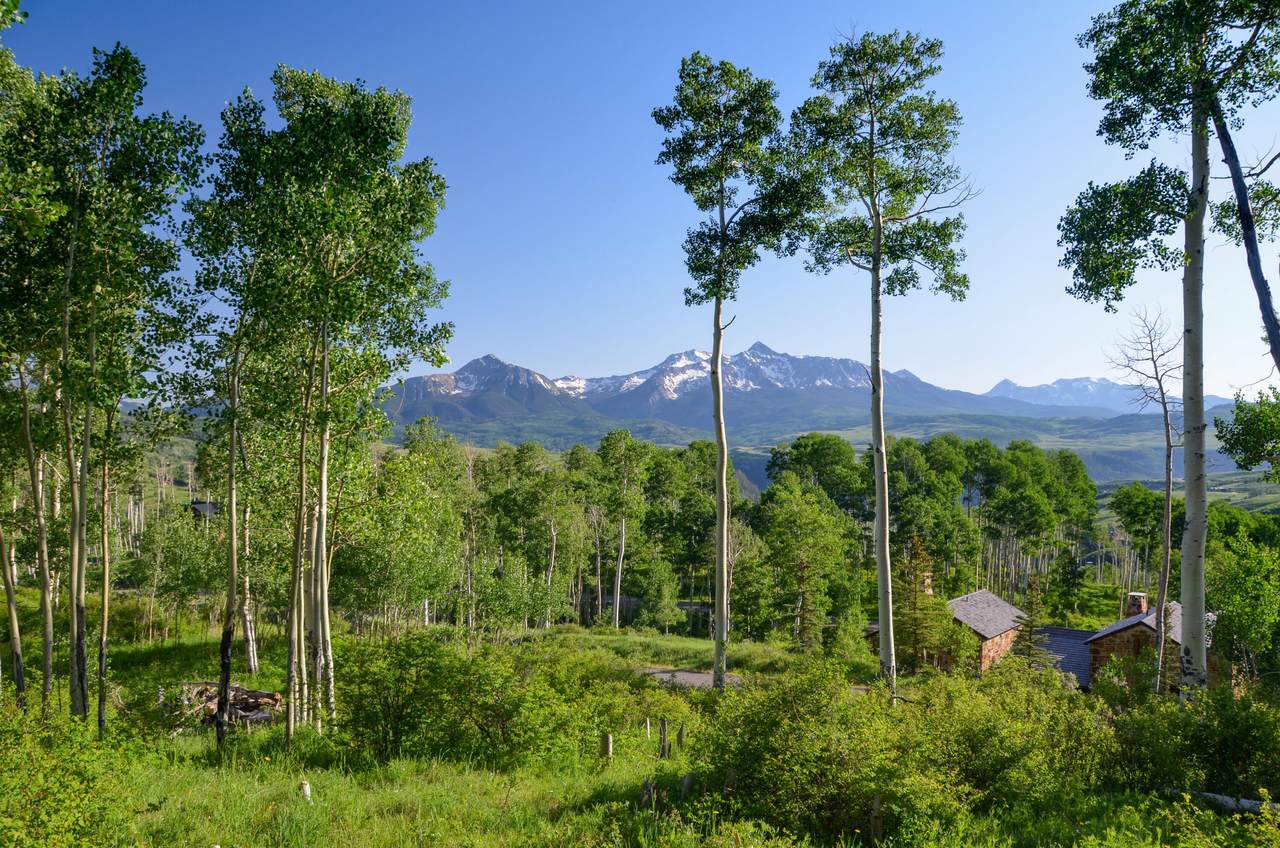 102 Christina's Way - Photo 1