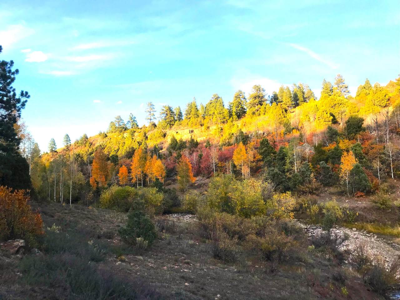 https://bt-photos.global.ssl.fastly.net/telluride/1280_boomver_1_44040-2.jpg