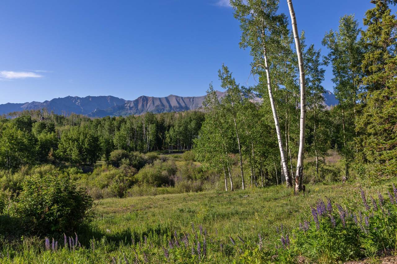 https://bt-photos.global.ssl.fastly.net/telluride/1280_boomver_2_44335-2.jpg