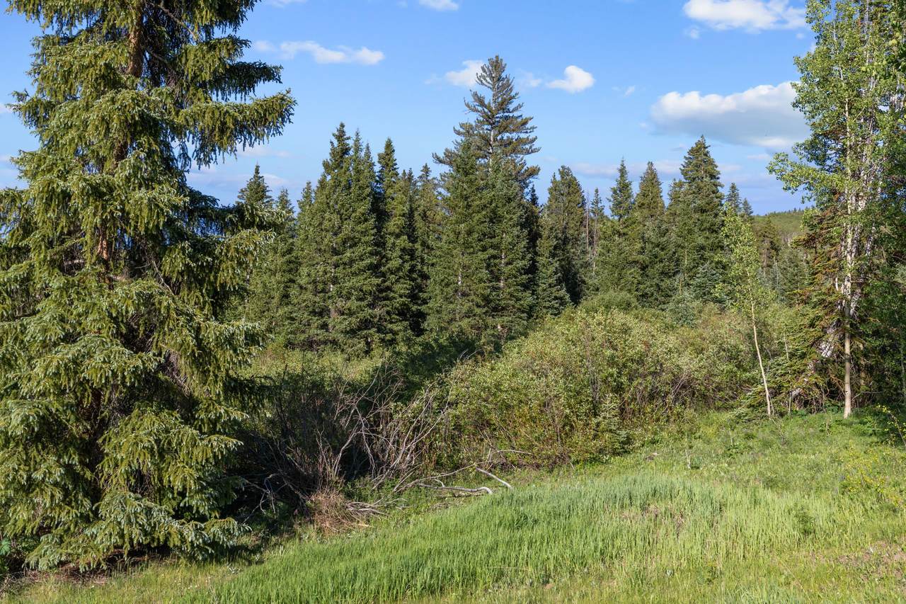 https://bt-photos.global.ssl.fastly.net/telluride/1280_boomver_2_44335-2.jpg