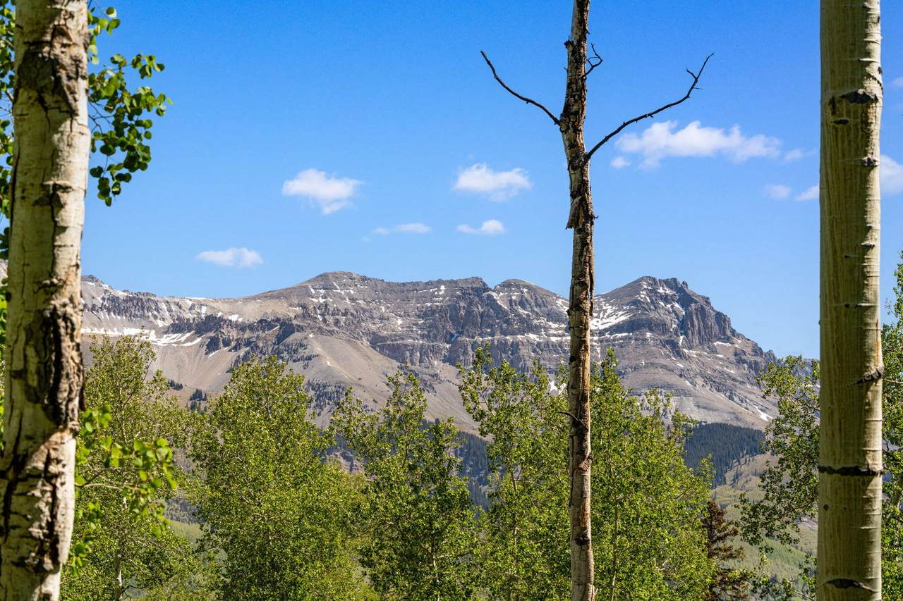 https://bt-photos.global.ssl.fastly.net/telluride/1280_boomver_2_44555-2.jpg