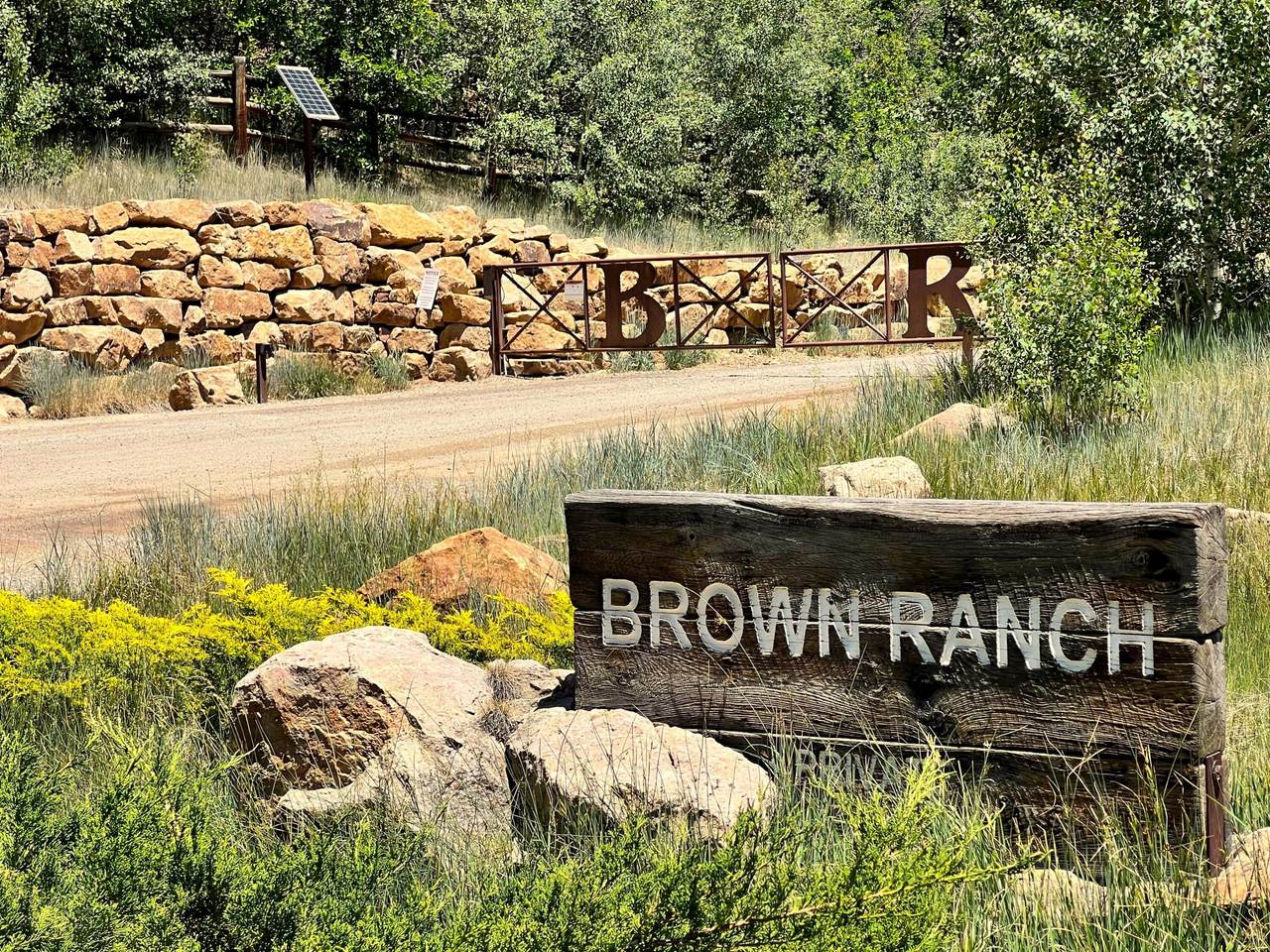 2991 Brown Ranch Road - Photo 1