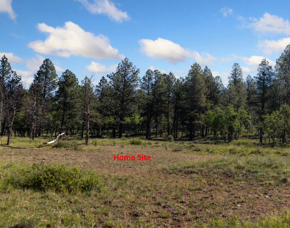 https://bt-photos.global.ssl.fastly.net/telluride/1280_boomver_2_44613-2.jpg