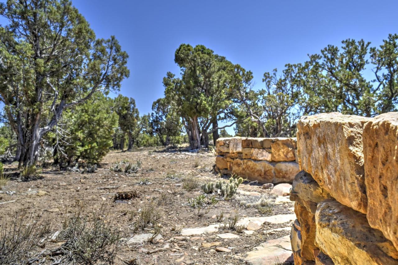 TBD Coral Bell Drive - Photo 1