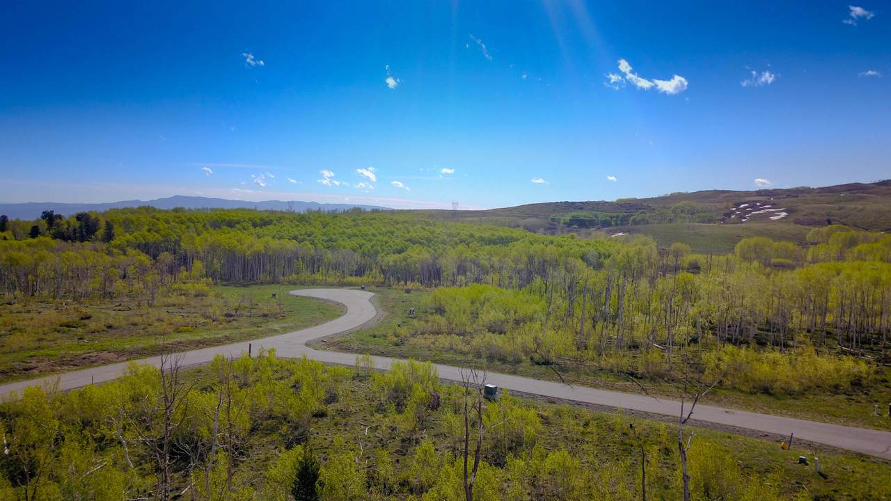 TBD Oso Lane - Photo 1