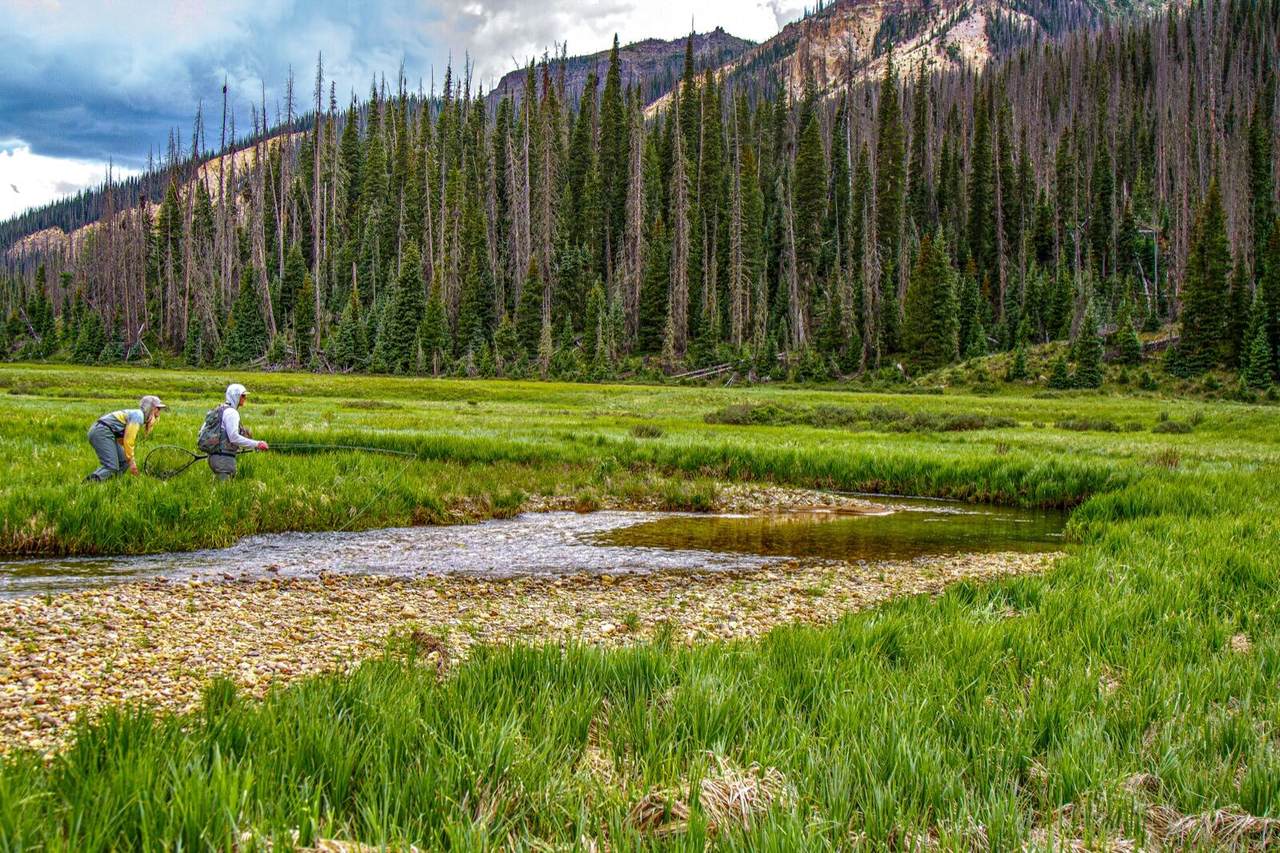 https://bt-photos.global.ssl.fastly.net/telluride/1280_boomver_3_43469-2.jpg