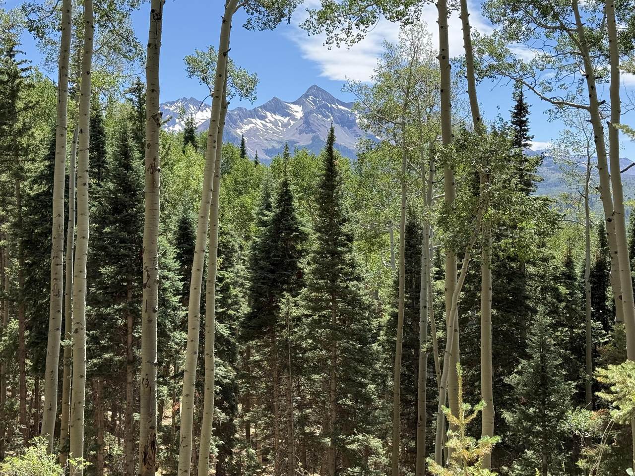 TBD Elk Run - Photo 1