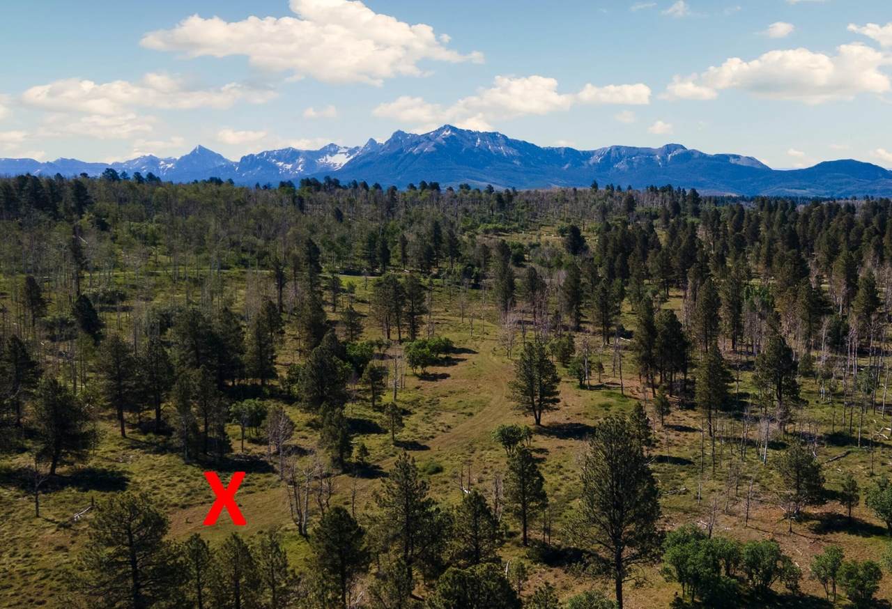 2991 Brown Ranch Road - Photo 1