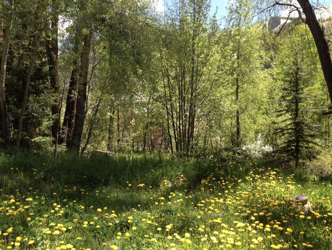 https://bt-photos.global.ssl.fastly.net/telluride/1280_boomver_4_43379-2.jpg