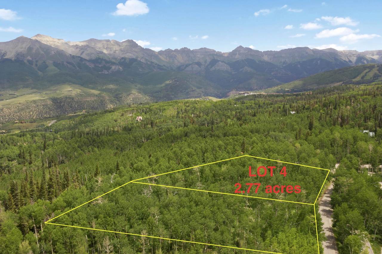 TBD Saddle Horn Lane - Photo 1