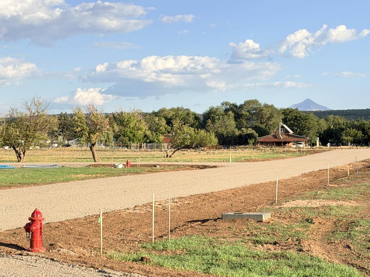 102 Oro #12 Place - Photo 1