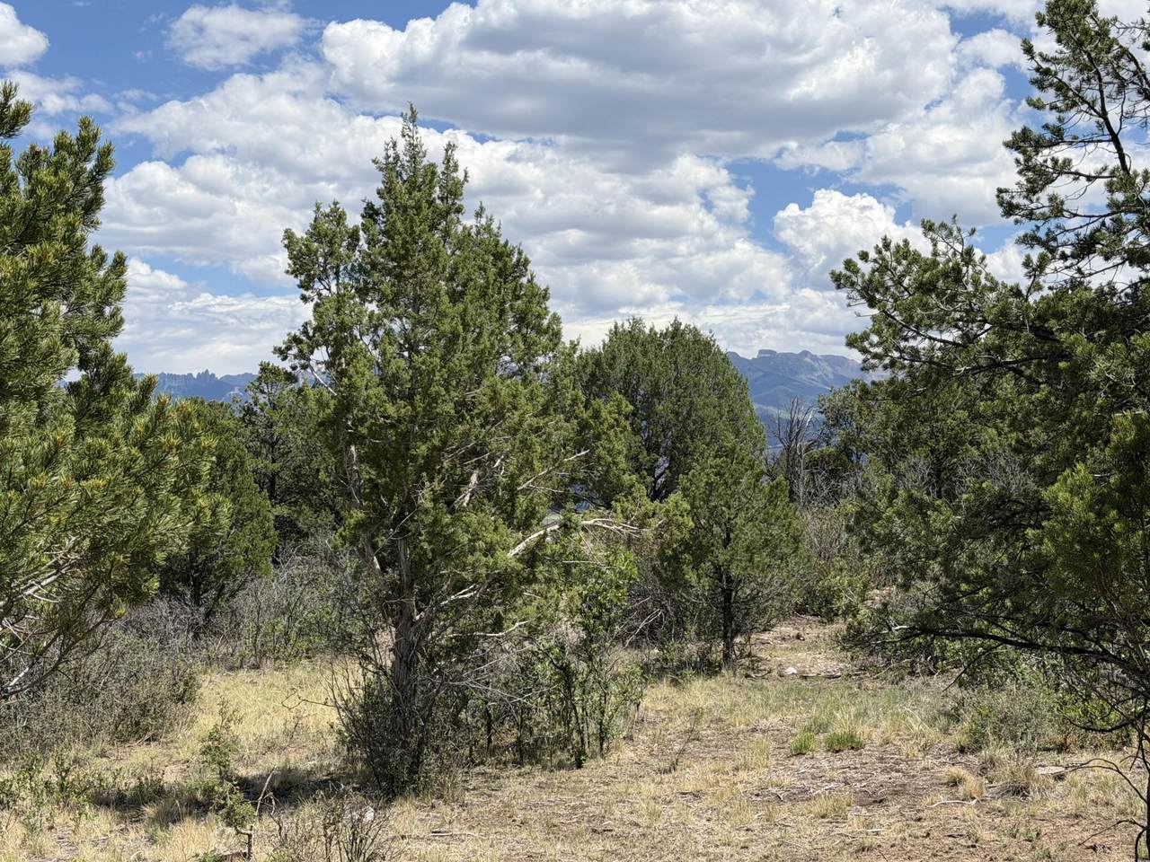 https://bt-photos.global.ssl.fastly.net/telluride/1280_boomver_4_44227-2.jpg