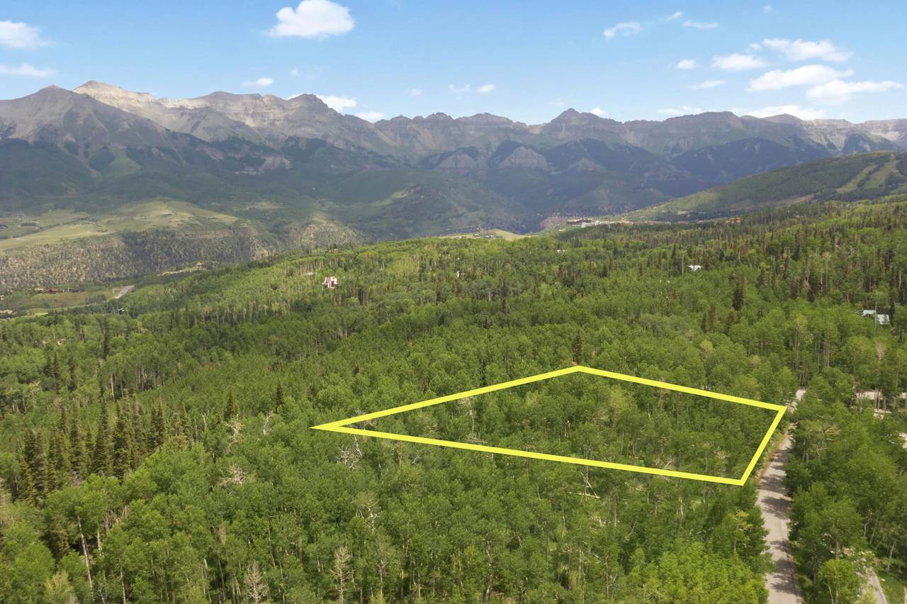 TBD Saddle Horn Lane - Photo 1