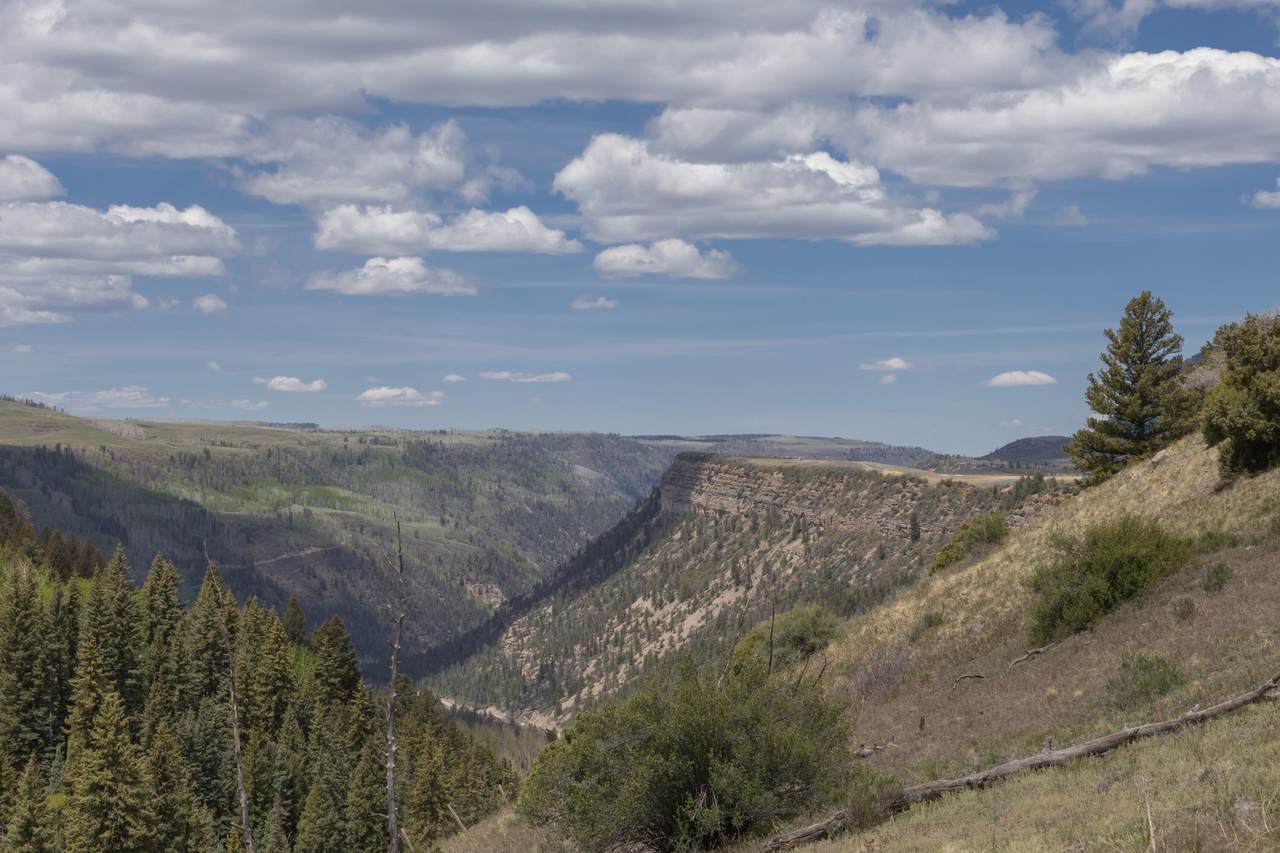 https://bt-photos.global.ssl.fastly.net/telluride/1280_boomver_4_44493-2.jpg