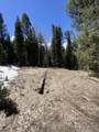 433 Juniper Drive - Photo 2