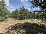 TBD Ponderosa Drive - Photo 2