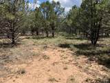 TBD Ponderosa Drive - Photo 3