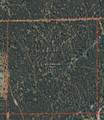 TBD Ponderosa Drive - Photo 6