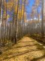 TBD Fall Creek Road - Photo 5