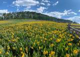 TBD Fall Creek Road - Photo 7
