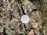 TBD Last Dollar Road - Photo 23