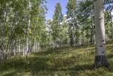 TBD Elk Run Road - Photo 4