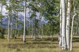 TBD Elk Run Road - Photo 5