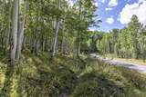 TBD Elk Run Road - Photo 7