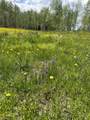TBD County Road 5 - Photo 3