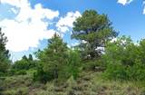 TBD Gurley Lake Drive - Photo 17