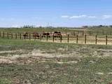 1255 County Road V44 - Photo 4