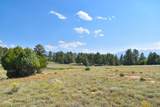 TBD Ponderosa Drive - Photo 12
