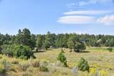 TBD Ponderosa Drive - Photo 14