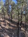 TBD 58P Road - Photo 21