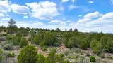 465 Wildcat Canyon/ Govt. Springs Road - Photo 10