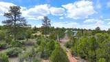 465 Wildcat Canyon/ Govt. Springs Road - Photo 11