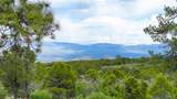 465 Wildcat Canyon/ Govt. Springs Road - Photo 13