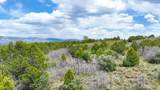 465 Wildcat Canyon/ Govt. Springs Road - Photo 19