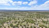 465 Wildcat Canyon/ Govt. Springs Road - Photo 24