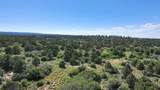 465 Wildcat Canyon/ Govt. Springs Road - Photo 5