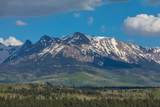 1122 Sneffels View Road - Photo 12