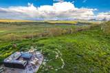 1122 Sneffels View Road - Photo 47
