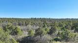 TBD Bible Camp Road - Photo 12