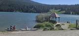 602 Trout Lake Road - Photo 11