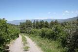 1100 Aspen Dr Drive - Photo 47