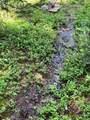 Lot 38 Fs 627 Hope Lake Road - Photo 6