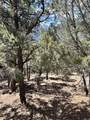 146 Winding Trail - Photo 15